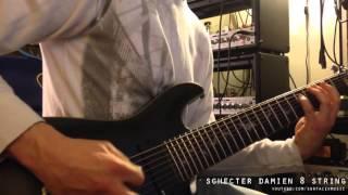 Schecter Damien Platinum 8 String