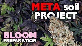 Episode 6 - Defoliation, Pruning & LST before Flip - Preparing for Bloom