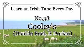 038 Cooley's Double Reel, (E Dorian) Learn an Irish Tune Every Day.