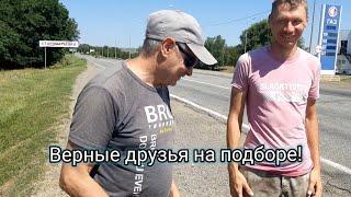 Верные друзья! Подбор с маршрута 34 км.