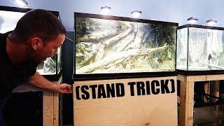 A little DIY aquarium stand trick of mine