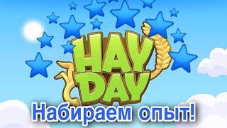 Hay Day - МНОГО ОПЫТА! КАК НАБРАТЬ?| Новый 176 уровень️| Подарки Farm Pass 