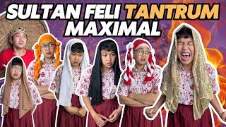 SULTAN FELI TANTRUM MAXIMAL