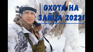 Охота на зайца 2022!