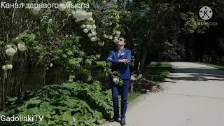 Yevgeny Ponasenkov (tiktok meme walk) (funny moments)