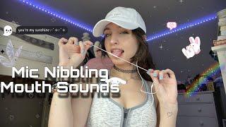 Lofi ASMR | Mic Nibbling, FAST & AGGRESSIVE Mouth Sounds, Rambles