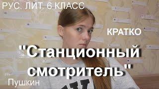 КРАТКО  | СТАНЦИОННЫЙ СМОТРИТЕЛЬ | Пушкин | рус. лит. 6 класс