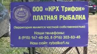 КРХ "Трифон". Видео отчет о рыбалке за 16 июня 2018