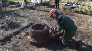 Smelt 2010