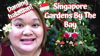 Singapore Gardens By The Bay - Flower Dome and Cloud Forest | Travel Tuesday