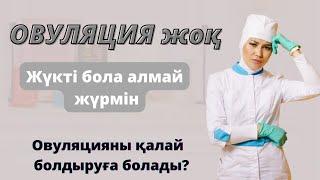 Овуляция есептеу.Овуляцияны қалай есептейді?