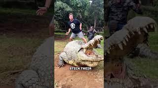 10 crazy animal facts that might just blow your mind! #AnimalFacts #Wildlife