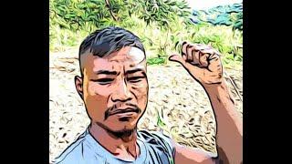 Saliram Star' Akantiko prngnam