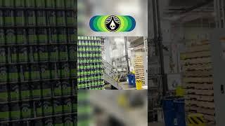 ​​Brewing Truth IPA Brew Day #probrewer #brewer #brewery #brewerylife #homebrew #craftbeer #lager #i
