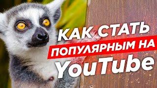  Как Стать Популярным на YouTube, Платное Продвижение На Ютуб