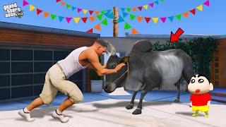 Shinchan & Franklin Buy Jallikattu Kaalai in Gta 5