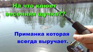 На что клюет весенняя щучка? Как уйти от ноля? Приманка которая всегда выручает.