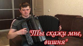 «Ты скажи мне, вишня»  Песня под баян.  Баянист Иван Адыбаев. 