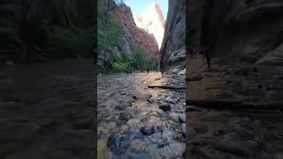 The beginning of The Narrows - Zion National Park #thenarrows