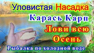 ЭТА РЫБОЛОВНАЯ НАСАДКА ПО ХОЛОДНОЙ ВОДЕ МЕНЯ УДИВИЛА Уловистая Насадка На Карася Карпа Леща