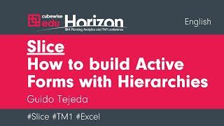 Slice, How to build Active Forms with Hierarchies for IBM Planning Analytics