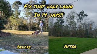 How To Fix An Ugly Lawn- Step-by-Step Guide For Beginners - With Results