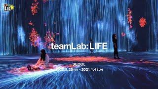 teamLab: LIFE