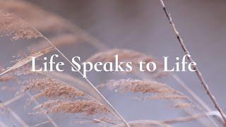 Life speaks to life | FCF Talk | March 19, 2025