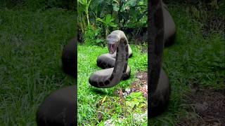 Mother and daughter survival skills are amazing, don't you think? #funny #cute