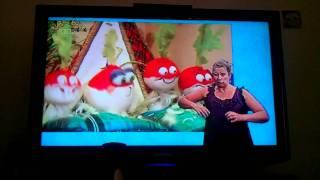 Mr Bloom's Nursery - funny Sign Language woman take 2