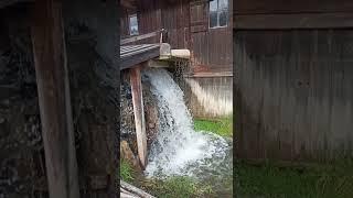 Mill wheel startup #millwheel #mill #wheel #kołomłyńskie #koło #młyn #water #youtube #startup