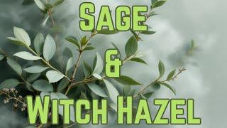 Mikachus Mellow Mists - Sage & Witch Hazel