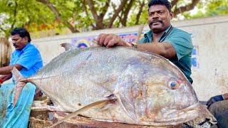 $95 Trevally Fish Cutting By Kasimedu Selvam | UK SONS MARINE