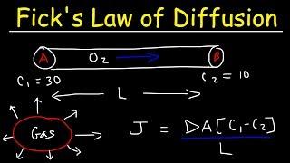 Fick's Law of Diffusion, Concentration Gradient, Physics Problems