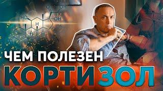 Положительный стресс и чем полезен кортизол? Что будет, если убрать кортизол?