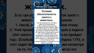 Условия обязательность закята с животных.