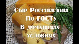 Сыр Российский по ГОСТу в домашних условиях + обучающая информация по сыроделию