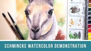Schmincke Watercolor Review Part 2 & Time Lapse Guanaco Painting