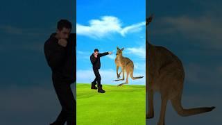  HOW TO SURVIVE A KANGAROO ATTACK