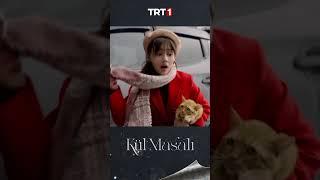 İlk Tanışma  I Kül Masalı 1. Bölüm #shorts