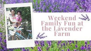 Weekend Family Fun at Sunshine Lavender Farm | The Spiritual Love Healer
