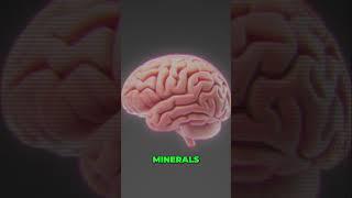 Brain Fuel: Nourish Your Mind for Peak Performance! 