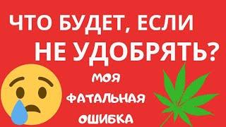 ЧТО ЕСЛИ НЕ УДОБРЯТЬ? | ЗАЧЕМ УДОБРЯТЬ КАННАБИС? | НУЖНО ЛИ УДОБРЯТЬ МАРИХУАНУ? | РАСТИМ АВТИКИ