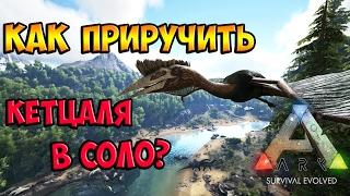 КАК ПРИРУЧИТЬ КЕТЦАЛЯ В СОЛО?/КАК УСЫПИТЬ КЕТЦАЛЯ В ОДИНОЧКУ? ► Ark: Survival Evolved #6