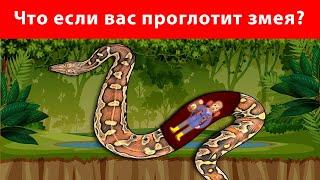 Что, если вас проглотит самая большая змея  Как выжить?