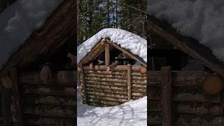 Building a Log Cabin part 9/15 #bushcraft #survival #outdoor