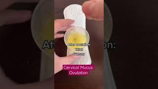 Discharge: Am I normal?! Cervical mucus changes during ovulation #shorts