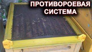 Противороевая система (устройство) для улья.