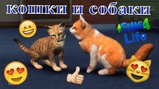 Ура дождались! The Sims 4  Кошки и собаки