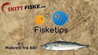 Fisketips #1 med Skitt Fiske - Fiske makrell fra båt